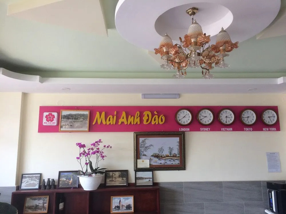 Mai Anh Dao