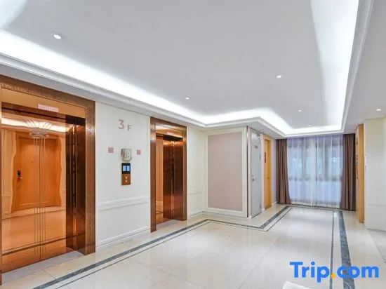 Vienna Hotel (Shizuishan Dawukou)