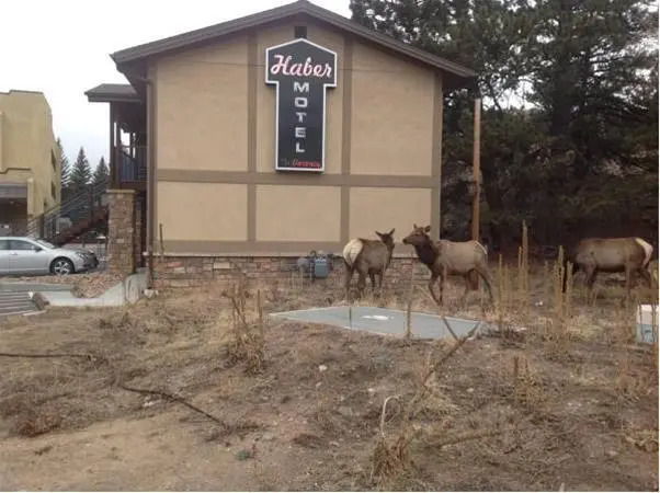 The Haber Motel