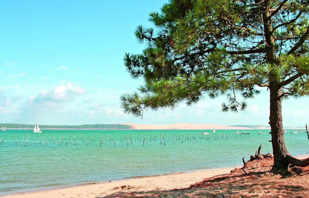 VVF Lège Cap Ferret