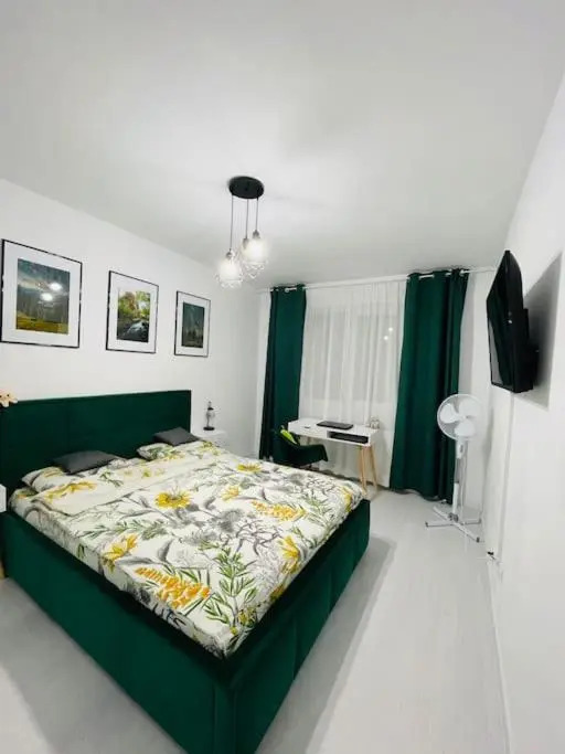 Apartament Modern Ioana