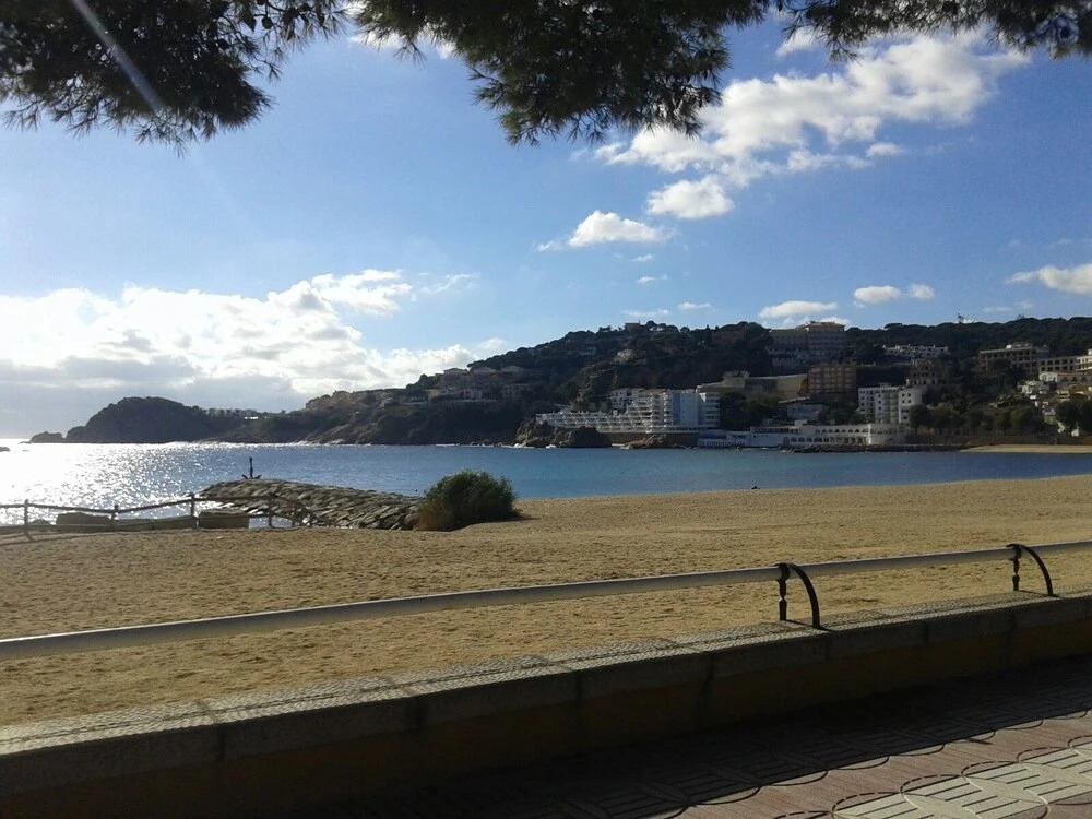 Apartamento Alba