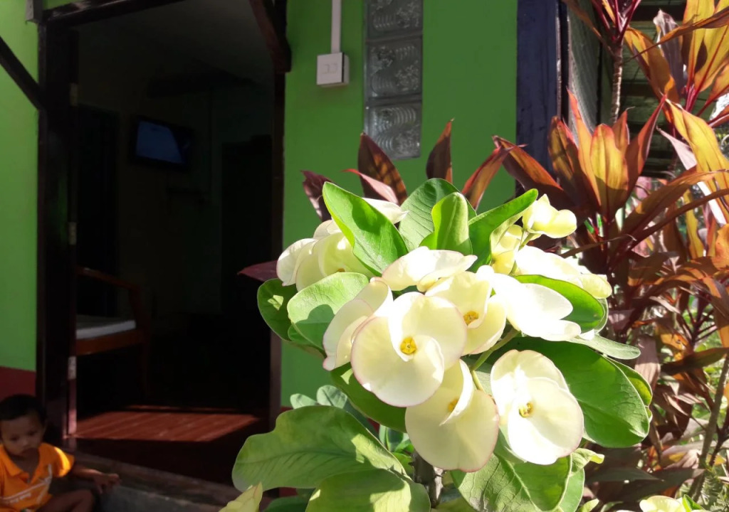 Kyaw Ngapali Lodge