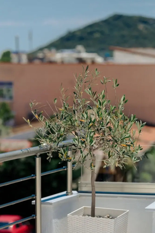 Sea View Studio With a Barbecue Area on the Terrace of the Building a Smart TV