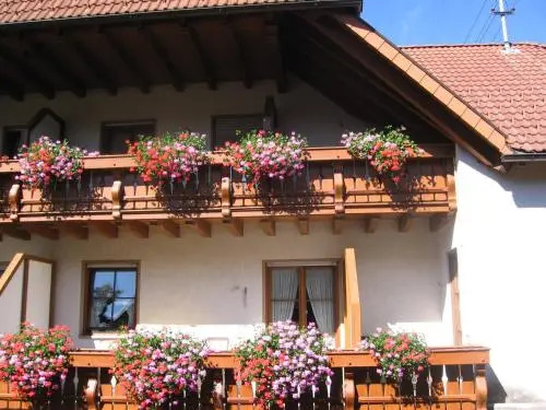 Hotel Gasthaus Zum Hirschen
