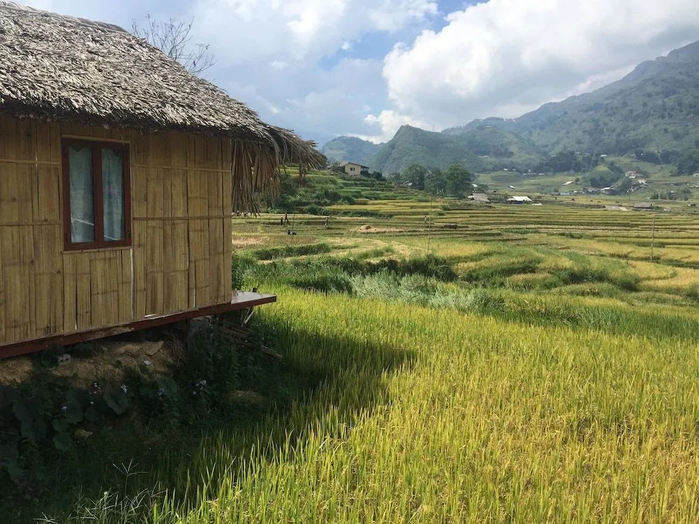 Golden Rice Garden Sapa