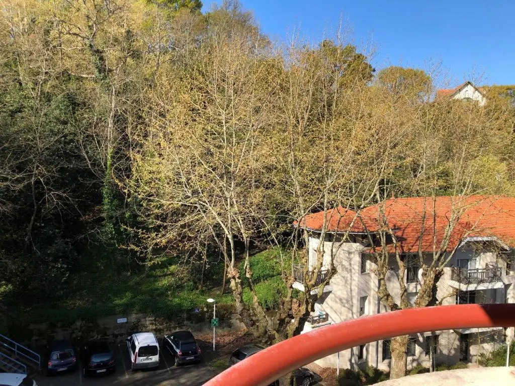 Appartement Arcachon, 2 Pièces, 4 Personnes - Fr-1-319-21