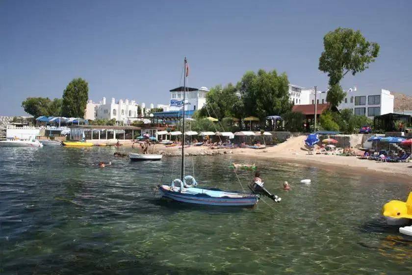 Duygulu