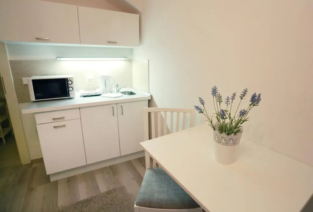 Apartments Pushkin