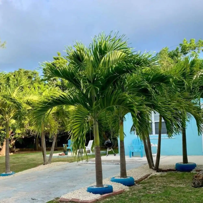 S4 BP Steps to Beach Entire Apartment