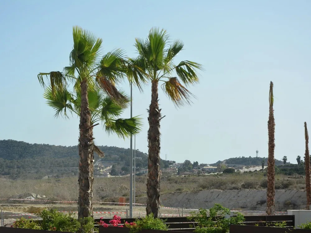 Explore the Cultural Town of Orihuela From a Villa