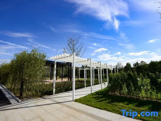 UrCove by Hyatt Weifang