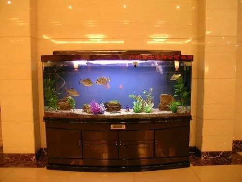Hohhot Golden Sun Hotel