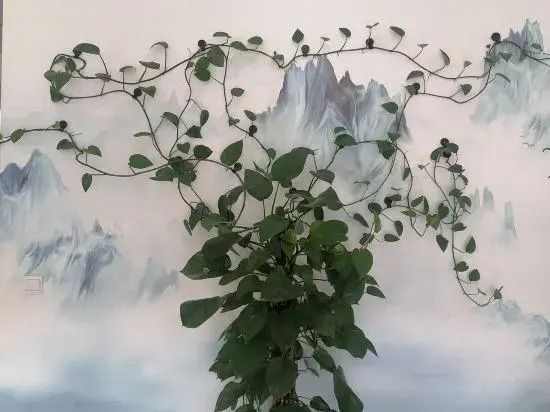 Yuping Yuanshan Host Inn