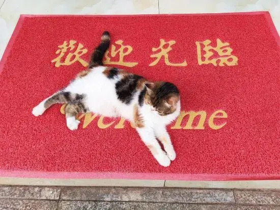Xiaoqikong nanmu lnn