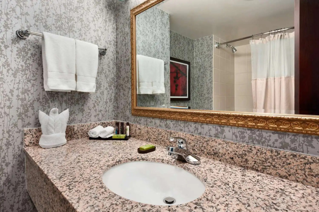 Embassy Suites by Hilton Dulles Airport