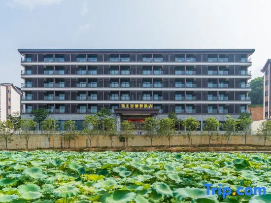 Yaowanggu Kangyang Hotel