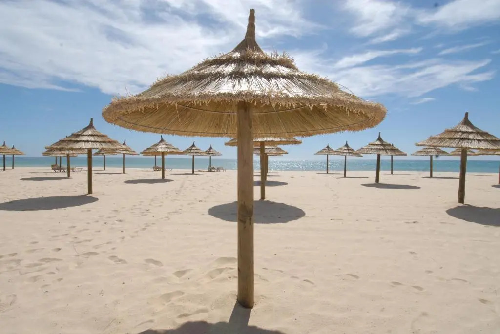 Yadis Hammamet