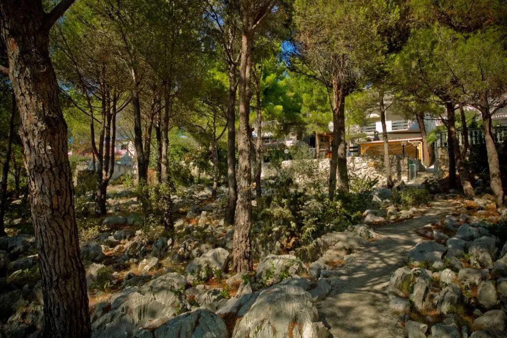 Apartments Vrgada