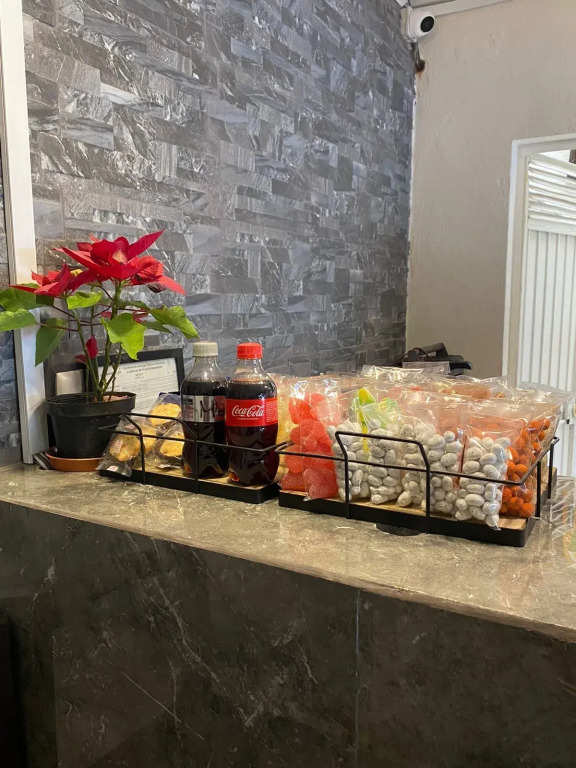Hotel Posada Jardín Aguascalientes