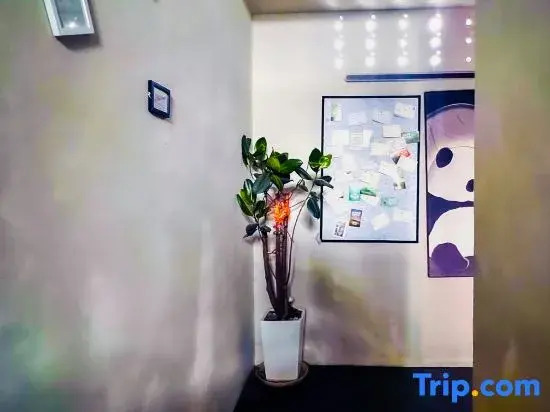 HOMIE Youth Hostel