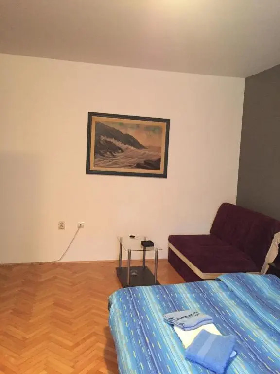 Apartment Viktor 2 stan na dan