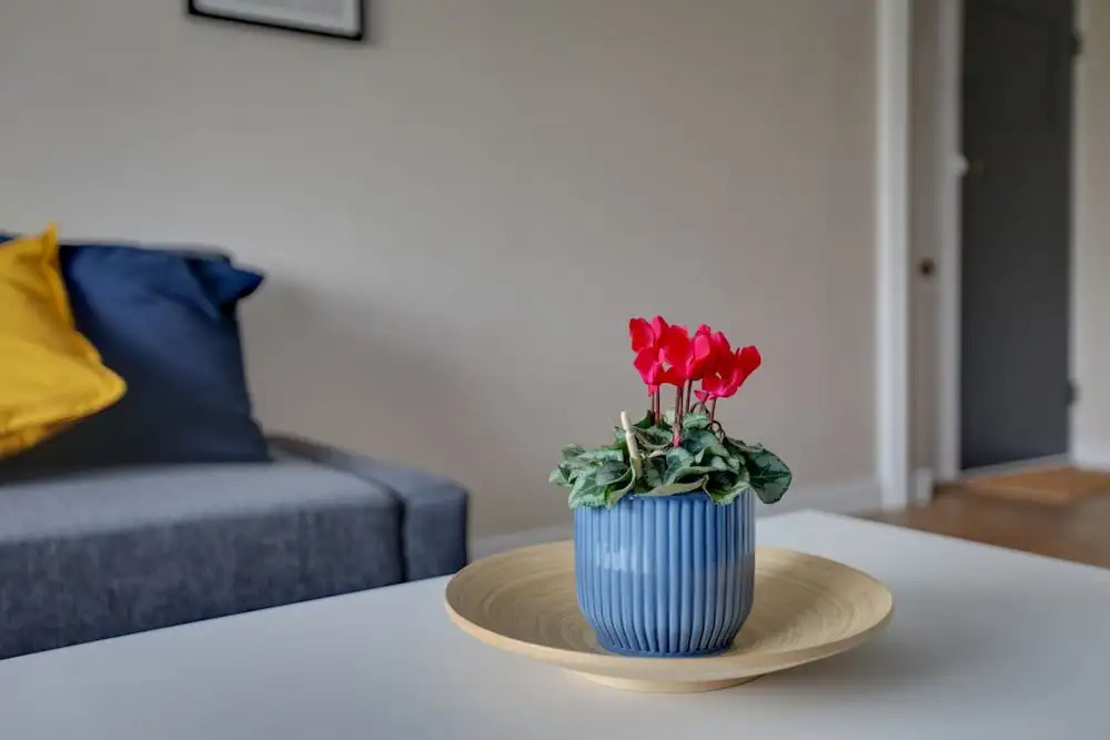 BookedUK - Bright flat in Harlow