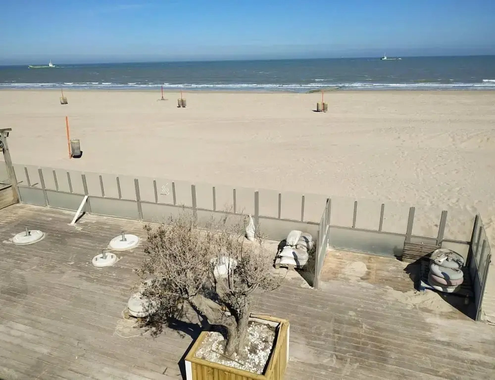 Apartment in Oostduinkerke With Sea View
