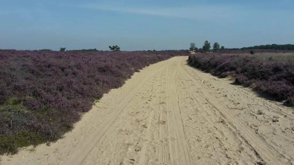 B&B Schoonloo - natuur, ruimte & rust