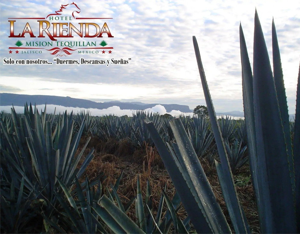 Hotel La Rienda Mision Tequillan