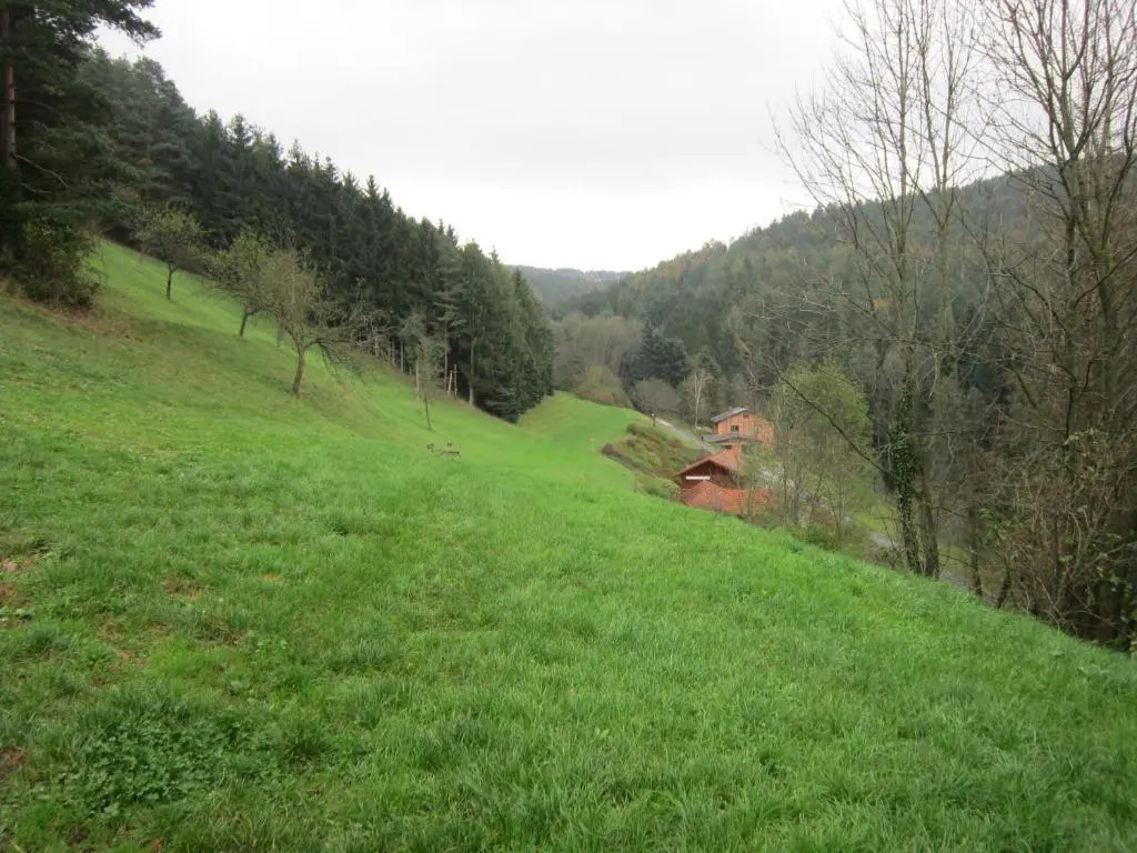 Waldpension Stachl