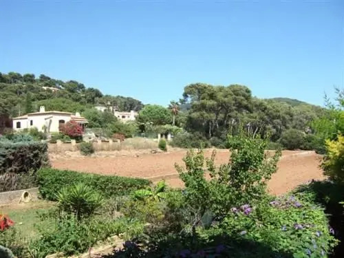 Les Anémones