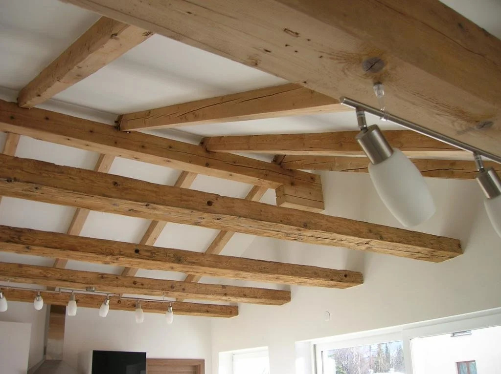 Appartement Fortuna
