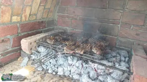 Nubian Lotus