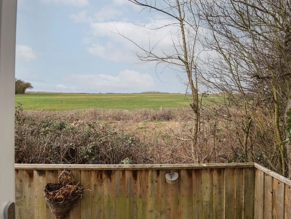 Field View
