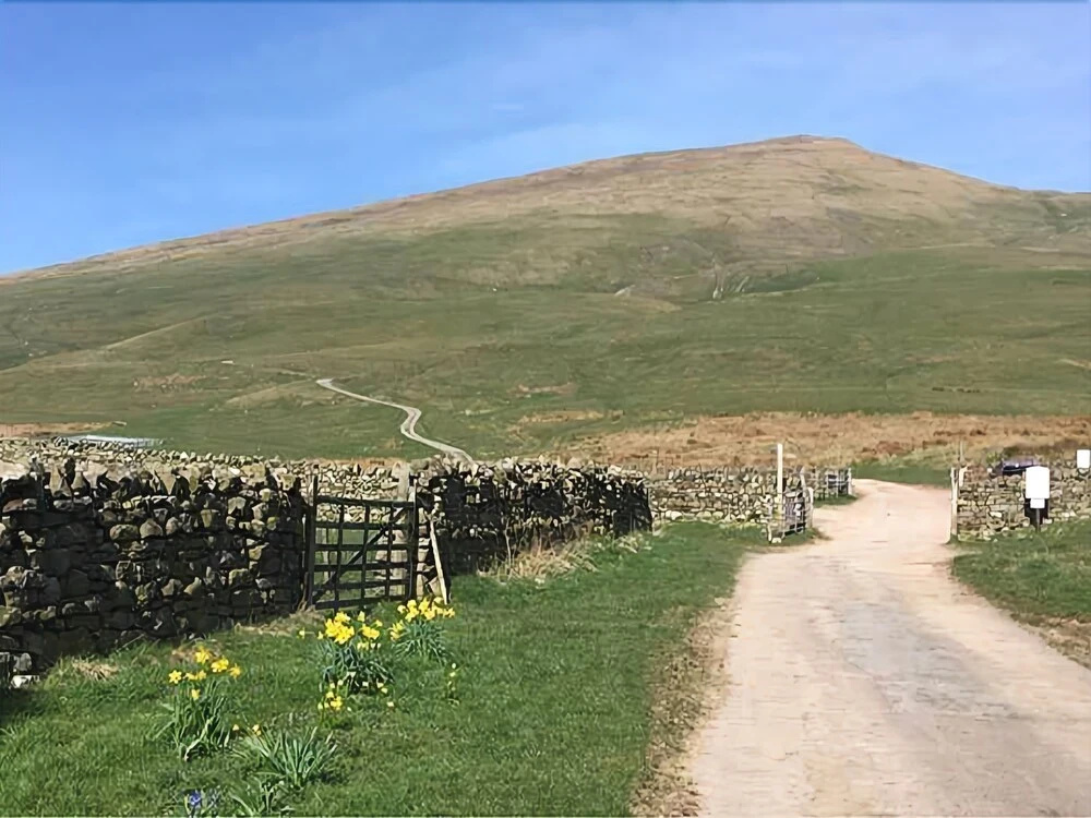 Stoney Beck