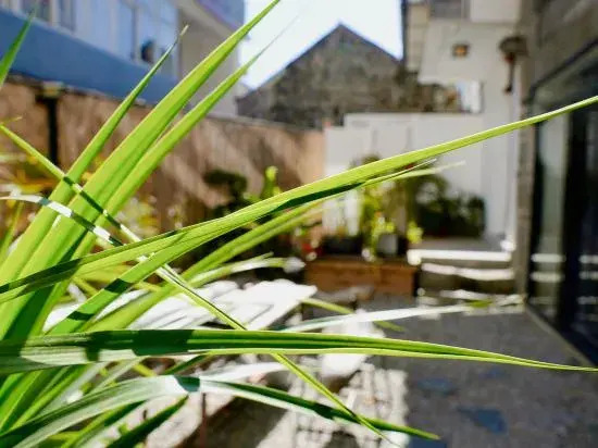Dali Jianshan Homestay