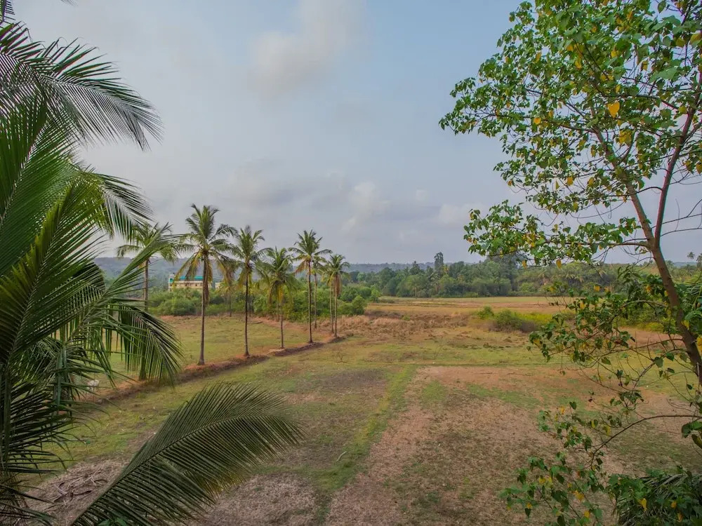 OYO 12987 Home Spacious Studio Mandrem Beach