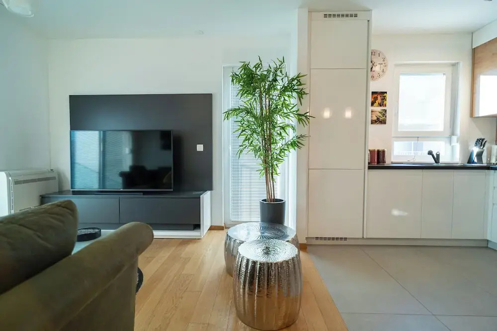 Apartment Wing 77