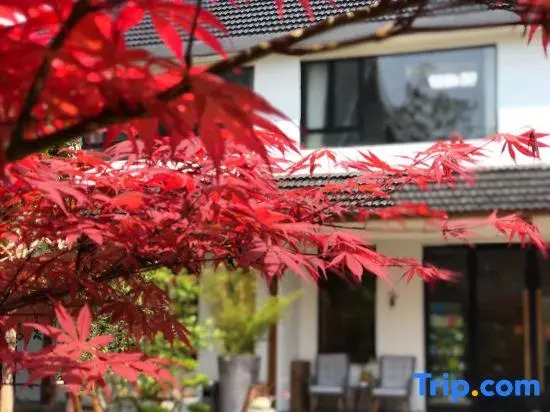 Meet Hospital Hostel (Shanghai Chongming Shop)