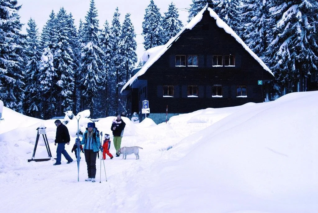 Montanie Resort
