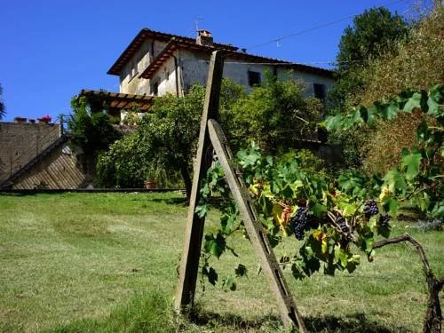 Polvereto