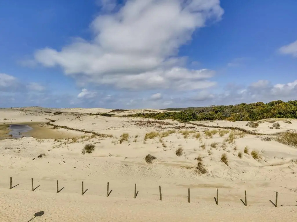 Maison Biscarrosse Plage, 2 pièces, 3 personnes - FR-1-521-82