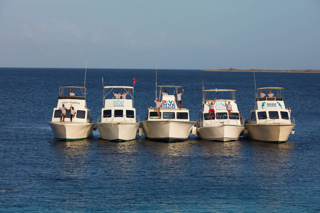 Divi Flamingo Beach Resort