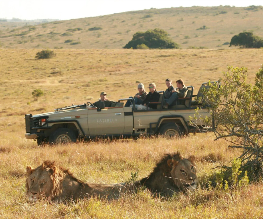 Lalibela Wildlife Reserve - Mills Manor