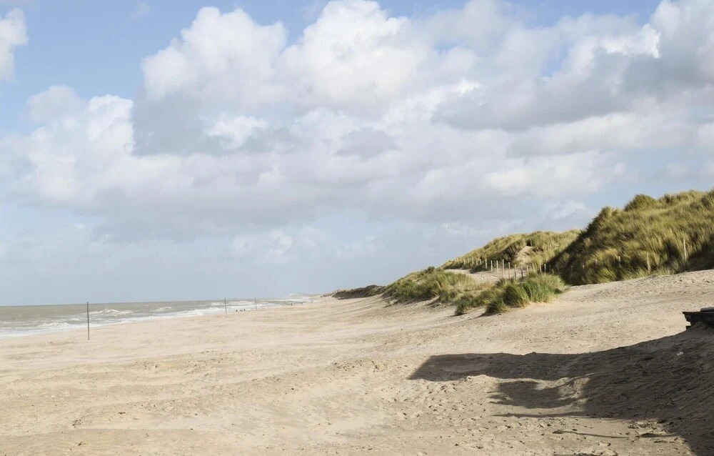 Vwa De Panne