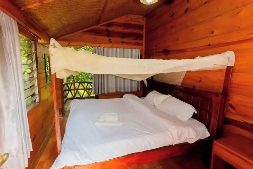 Ruwenzori View Guest House