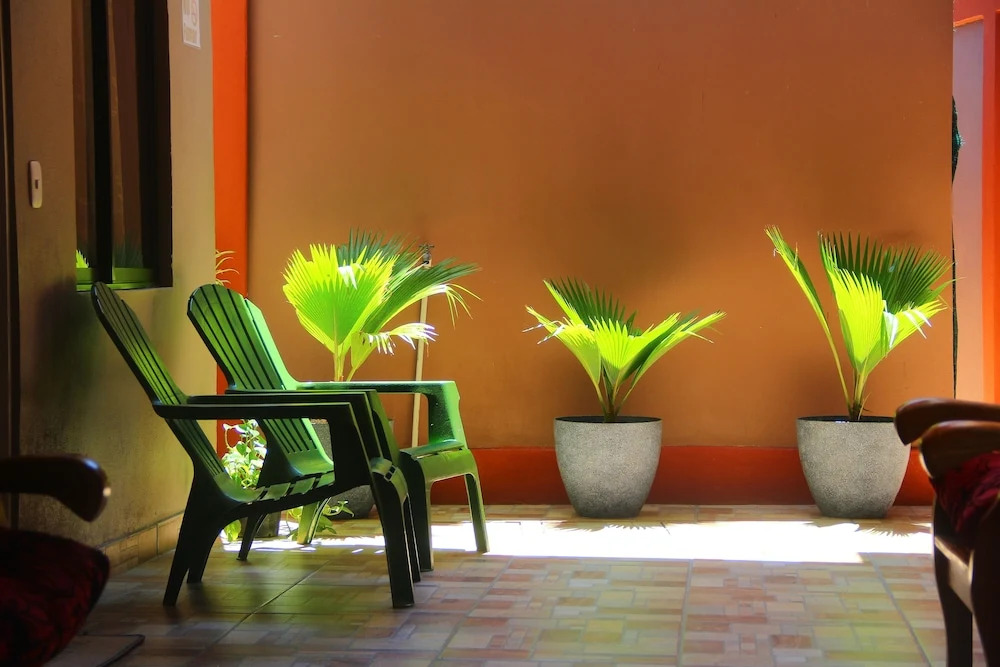 Apartamentos Mansión Tropical