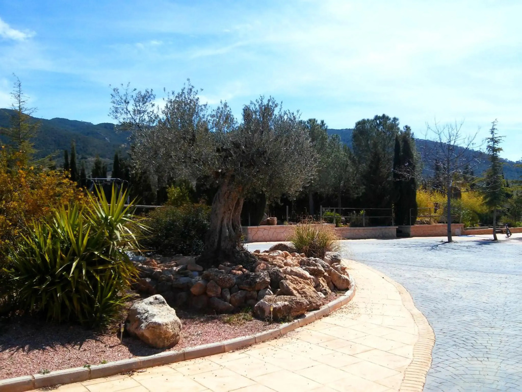 Casa rural el Carmen de la Sierra - Finca completa - Piscina privada