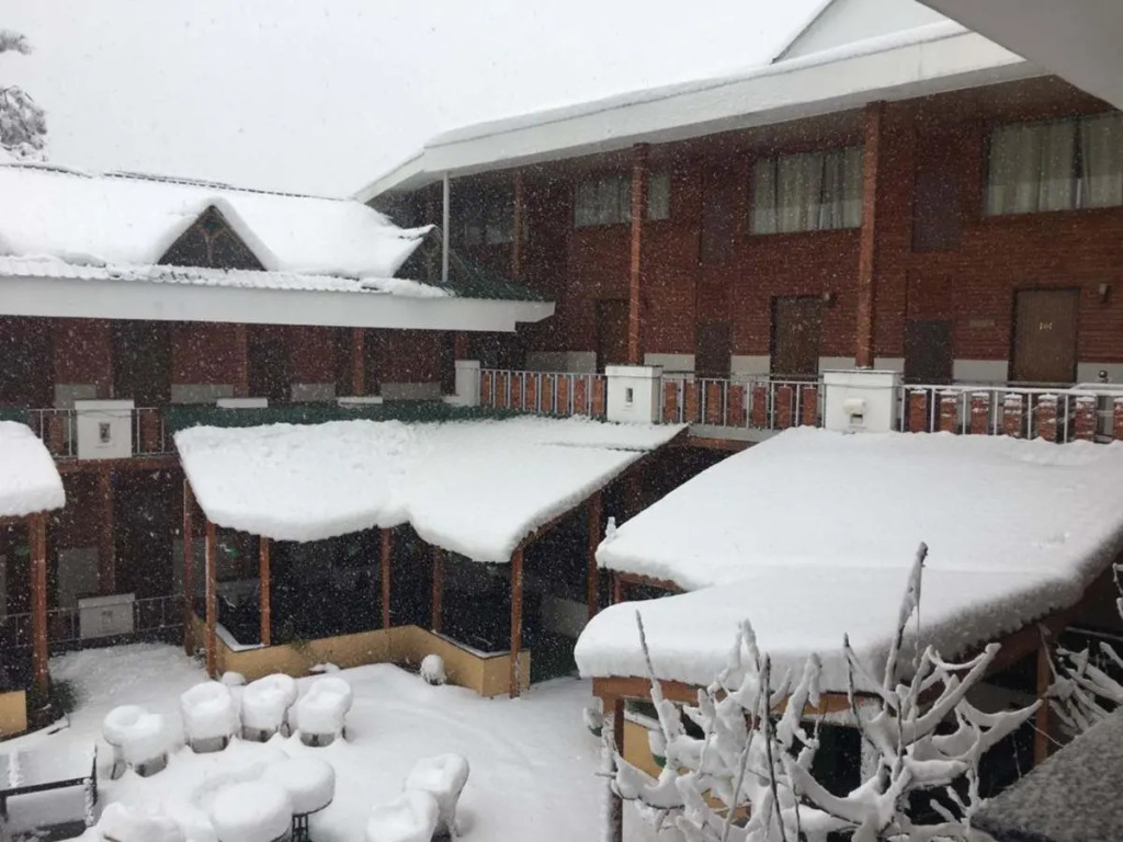 TreeHouse Chail Villas